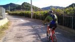 DSC00291.jpg