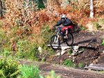 Oli en salto de la pista.jpg