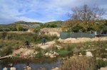 IMG_0732.JPG