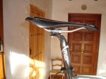 DSC01206.jpg