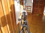 DSC01195.jpg