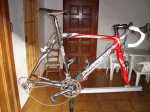 DSC01201.jpg