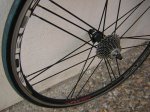 DSCN0724.jpg