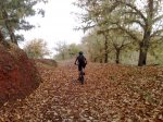 21112010116.jpg