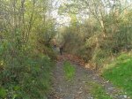 SDC10347.JPG