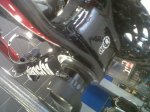 IMG00166-20101123-1322.jpg