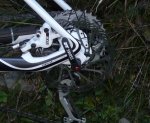 scott20g.jpg