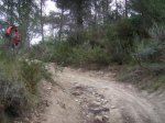 m_101_0011.jpg