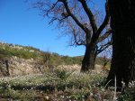 m_101_0063.jpg