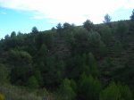 m_101_0066.jpg