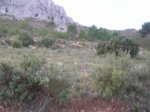 m_101_0080.jpg