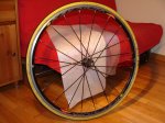 DSC00205.jpg