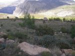 m_101_0082.jpg