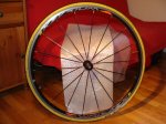 DSC00208.jpg