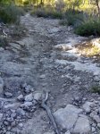 23112010684.jpg