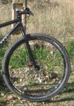 IMG_1139a.jpg