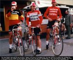 flandria-wait.jpg