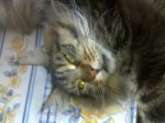 19062010544.jpg