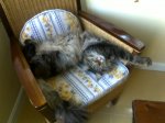 19062010543.jpg