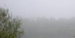 niebla.jpg