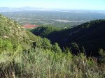 IMG_0005.jpg