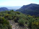 IMG_0015.jpg