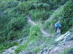 IMG_0009.jpg