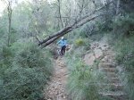 IMG_0022.jpg