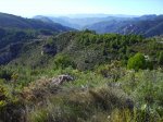 IMG_0016.jpg
