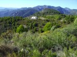 IMG_0017.jpg