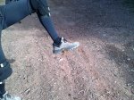 251120101497.jpg