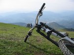 IMG_3332.jpg