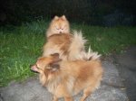 tres goxos_707x530.jpg