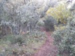 Foto0301.jpg