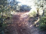 Foto0302.jpg
