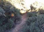 Foto0309.jpg