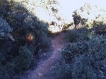 Foto0309.jpg