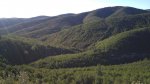 DSC00308.jpg
