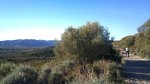 DSC00305.jpg