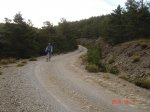 LS 07.jpg