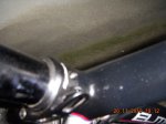 DSCN3446.jpg