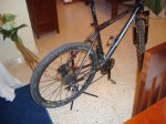 DSC01186.jpg