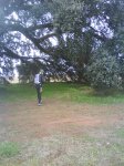 DSC00042.jpg