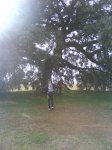 DSC00044.jpg