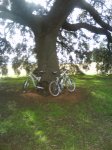 DSC00034.jpg