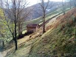 DSC00946.jpg