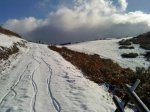 DSC00920.jpg
