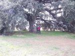 dscf1318.jpg