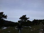 IMG_0353.JPG