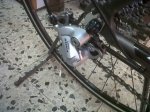 IMG00084-20101126-1639.jpg